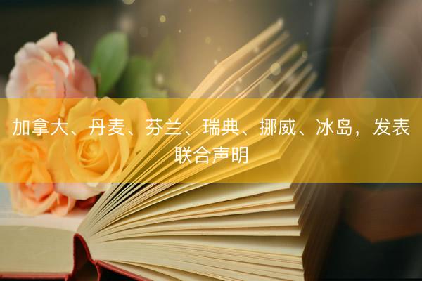 加拿大、丹麦、芬兰、瑞典、挪威、冰岛，发表联合声明
