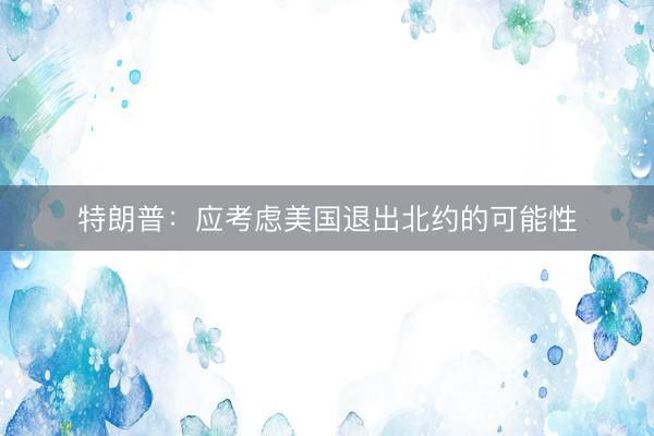 特朗普：应考虑美国退出北约的可能性