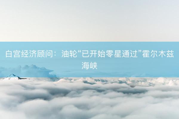 白宫经济顾问：油轮“已开始零星通过”霍尔木兹海峡