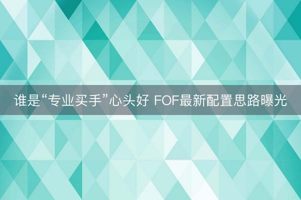谁是“专业买手”心头好 FOF最新配置思路曝光