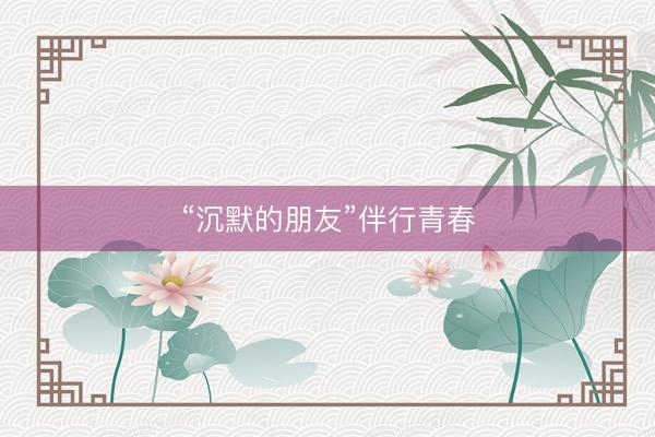 “沉默的朋友”伴行青春
