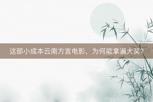这部小成本云南方言电影，为何能拿遍大奖？