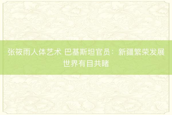 张筱雨人体艺术 巴基斯坦官员：新疆繁荣发展世界有目共睹