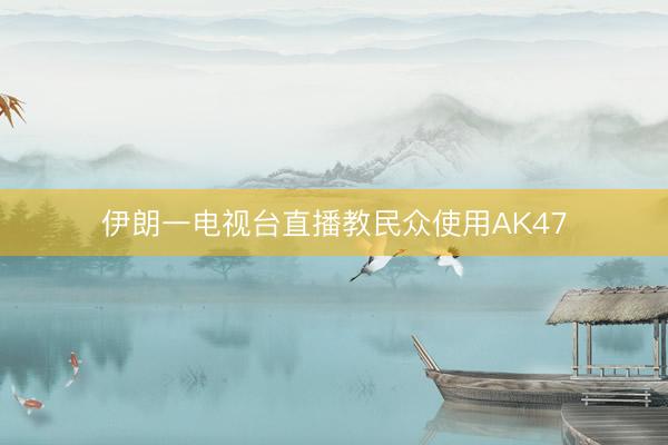 伊朗一电视台直播教民众使用AK47