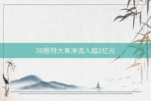 39股特大单净流入超2亿元