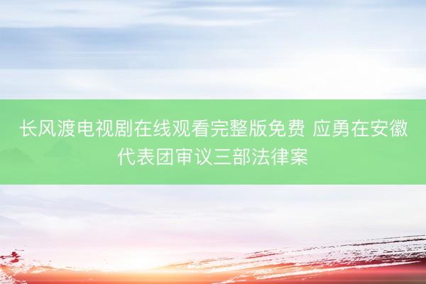 长风渡电视剧在线观看完整版免费 应勇在安徽代表团审议三部法律案