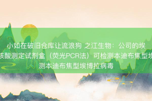 小如在破旧仓库让流浪狗 之江生物：公司的埃博拉病毒核酸测定试剂盒（荧光PCR法）可检测本迪布焦型埃博拉病毒