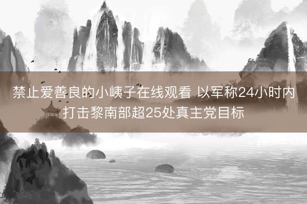 禁止爱善良的小峓子在线观看 以军称24小时内打击黎南部超25处真主党目标