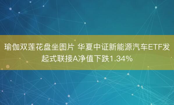 瑜伽双莲花盘坐图片 华夏中证新能源汽车ETF发起式联接A净值下跌1.34%
