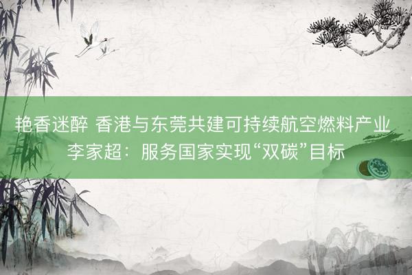 艳香迷醉 香港与东莞共建可持续航空燃料产业 李家超:服务国家实现“双碳”目标