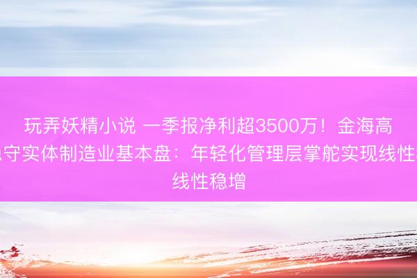 玩弄妖精小说 一季报净利超3500万！金海高科稳守实体制造业基本盘：年轻化管理层掌舵实现线性稳增
