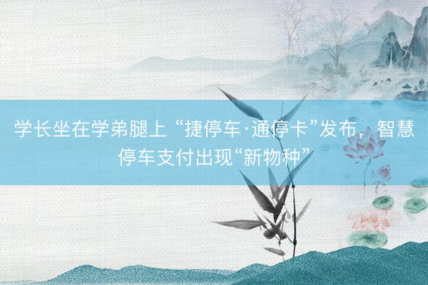 学长坐在学弟腿上 “捷停车·通停卡”发布，智慧停车支付出现“新物种”