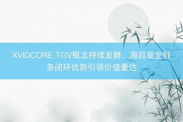 XVIDCORE TGV概念持续发酵，海目星全链条闭环优势引领价值重估