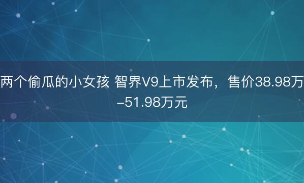 两个偷瓜的小女孩 智界V9上市发布，<a href=