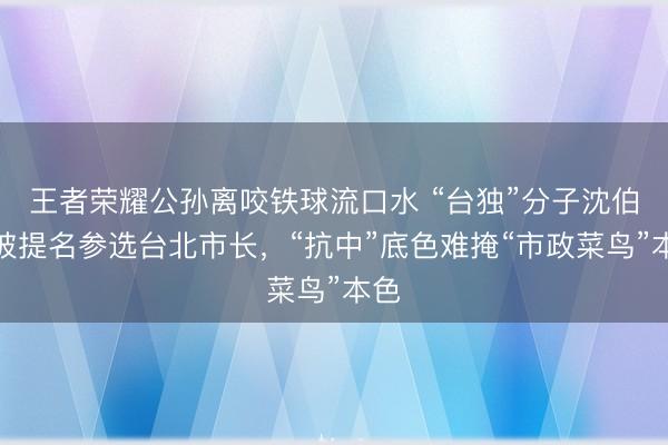 王者荣耀公孙离咬铁球流口水 “台独”分子沈伯洋被提名参选台北市长,“抗中”底色难掩“市政菜鸟”本色