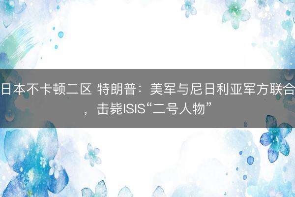 日本不卡顿二区 特朗普：美军与尼日利亚军方联合，击毙ISIS“二号人物”