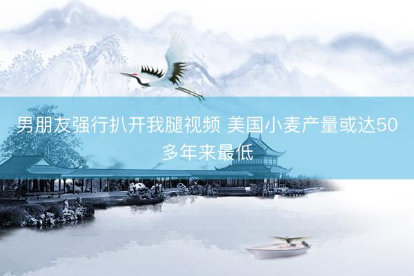 男朋友强行扒开我腿视频 美国小麦产量或达50多年来最低