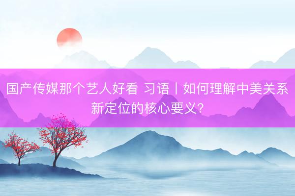 国产传媒那个艺人好看 习语丨如何理解中美关系新定位的核心要义？