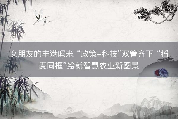 女朋友的丰满吗米 “政策+科技”双管齐下 “稻麦同框”绘就智慧农业新图景