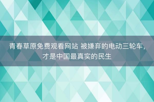 青春草原免费观看网站 被嫌弃的电动三轮车，才是中国最真实的民生