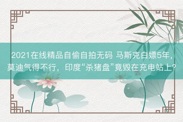 2021在线精品自偷自拍无码 马斯克白嫖5年，莫迪气得不行，印度“杀猪盘”竟毁在充电站上？