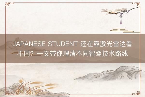 JAPANESE STUDENT 还在靠激光雷达看不同？一文带你理清不同智驾技术路线