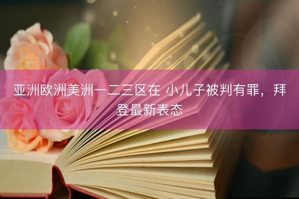亚洲欧洲美洲一二三区在 小儿子被判有罪，拜登最新表态