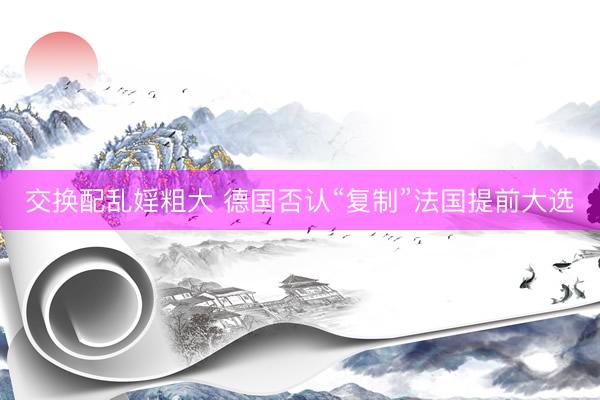 交换配乱婬粗大 德国否认“复制”法国提前大选