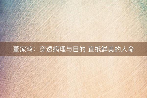 董家鸿：穿透病理与目的 直抵鲜美的人命