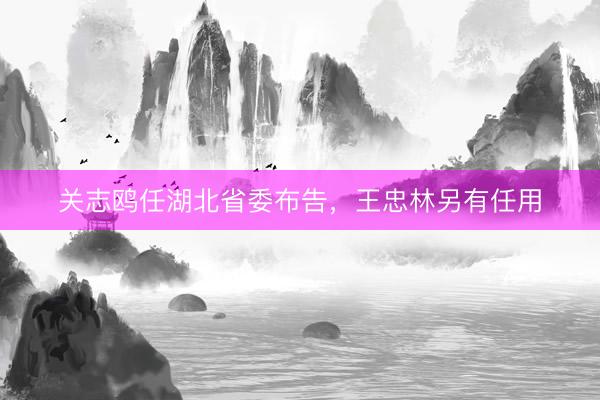 关志鸥任湖北省委布告，王忠林另有任用