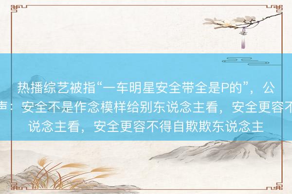 热播综艺被指“一车明星安全带全是P的”，公安部交通惩办局发声：安全不是作念模样给别东说念主看，安全更容不得自欺欺东说念主