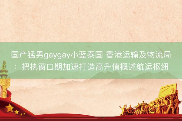 国产猛男gaygay小蓝泰国 香港运输及物流局：把执窗口期加速打造高升值概述航运枢纽
