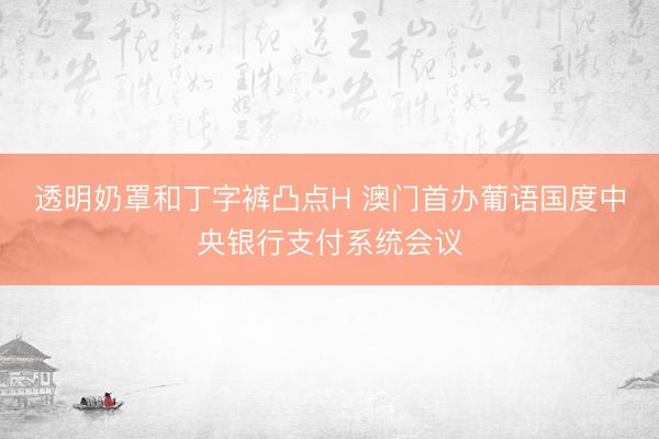 透明奶罩和丁字裤凸点H 澳门首办葡语国度中央银行支付系统会议