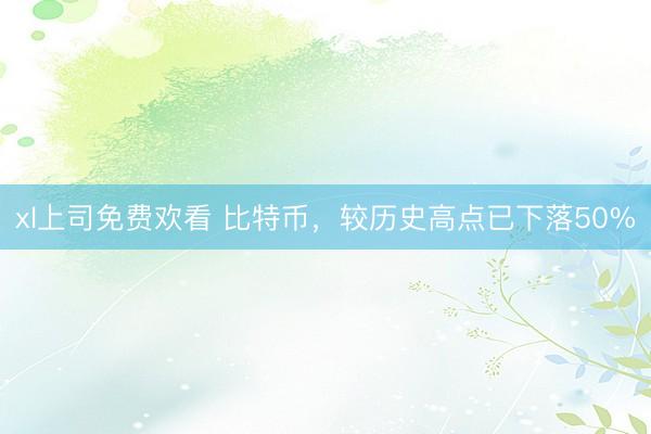 xl上司免费欢看 比特币，较历史高点已下落50%