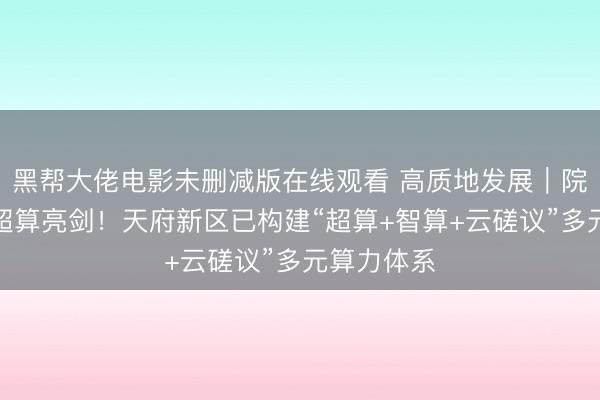 黑帮大佬电影未删减版在线观看 高质地发展｜院士助力，超算亮剑！天府新区已构建“超算+智算+云磋议”多元算力体系