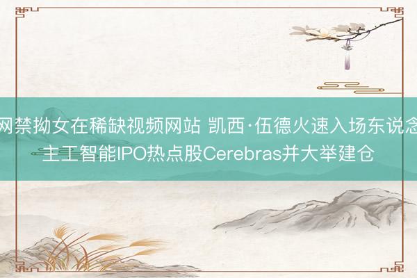 网禁拗女在稀缺视频网站 凯西·伍德火速入场东说念主工智能IPO热点股Cerebras并大举建仓