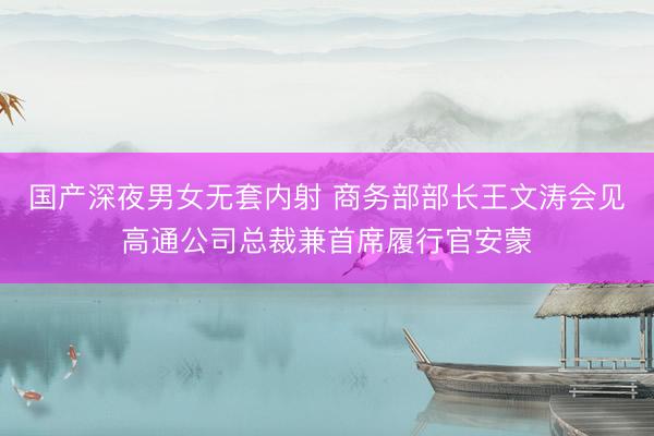 国产深夜男女无套内射 商务部部长王文涛会见高通公司总裁兼首席履行官安蒙