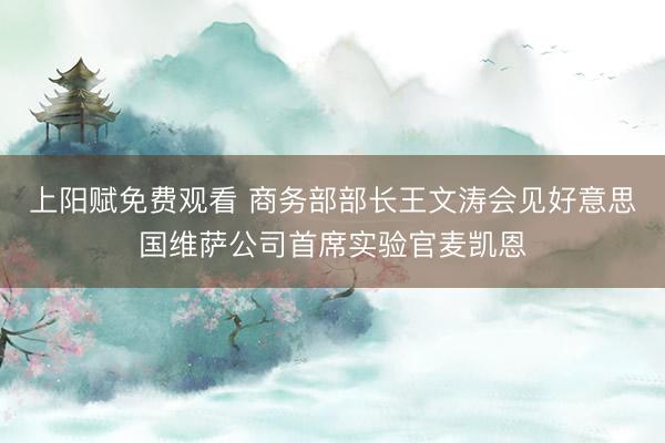 上阳赋免费观看 商务部部长王文涛会见好意思国维萨公司首席实验官麦凯恩