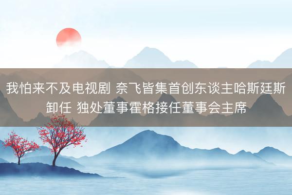 我怕来不及电视剧 奈飞皆集首创东谈主哈斯廷斯卸任 独处董事霍格接任董事会主席