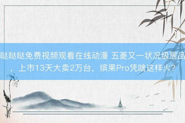 哒哒哒免费视频观看在线动漫 五菱又一状况级居品,上市13天大卖2万台,缤果Pro凭啥这样火?