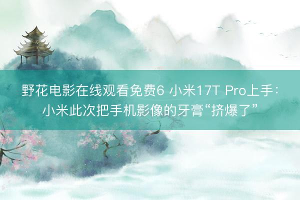 野花电影在线观看免费6 小米17T Pro上手：小米此次把手机影像的牙膏“挤爆了”