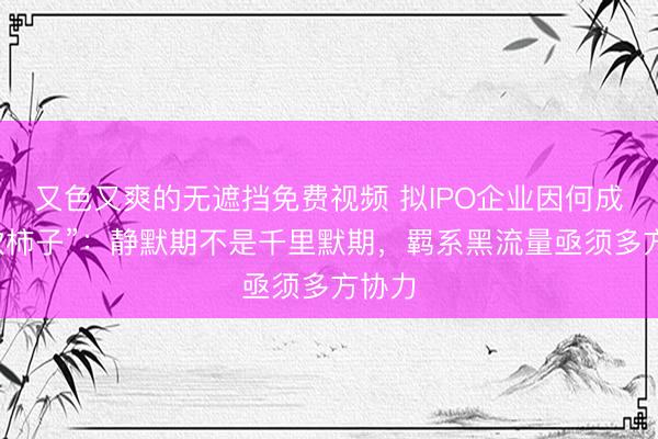 又色又爽的无遮挡免费视频 拟IPO企业因何成为“软柿子”：静默期不是千里默期，羁系黑流量亟须多方协力
