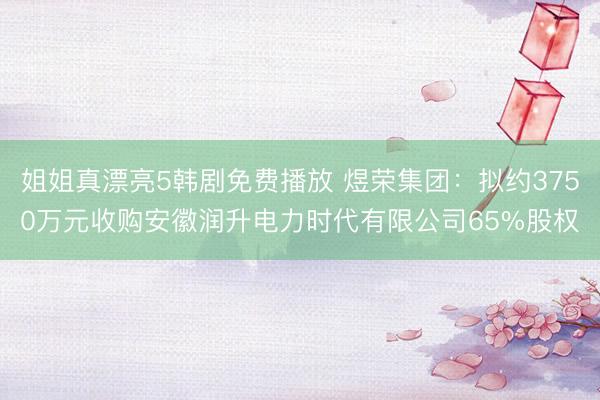 姐姐真漂亮5韩剧免费播放 煜荣集团:拟约3750万元收购安徽润升电力时代有限公司65%股权